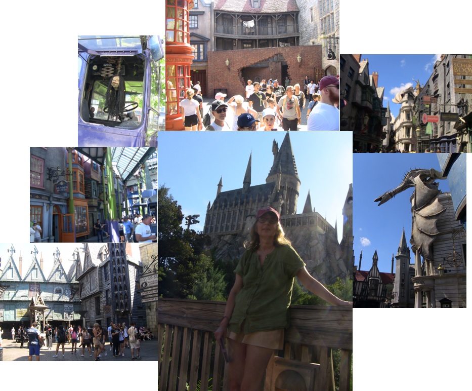 universal-samen